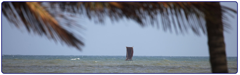 Zeezicht vanaf Camelot Beach Hotel in Negombo